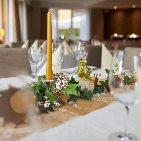 Flair Stadt Hotel 3*