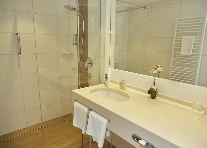 Flair Stadt Hotel 3*